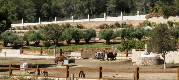 9 bedrooms Villa in Ibiza town, Spain No. 1335 3