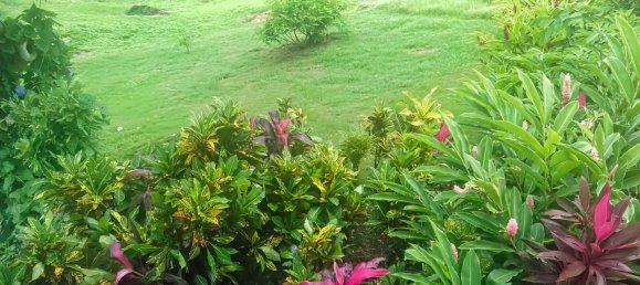 Земельный участок с 10 спальнями в Сент-Дейвид, Доминика № 54 17