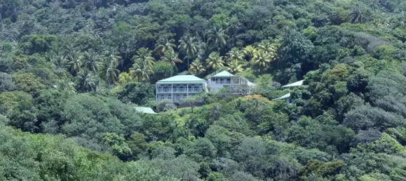 Земельный участок с 10 спальнями в Сент-Дейвид, Доминика № 54 26