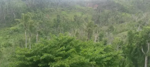 Земельный участок с 10 спальнями в Сент-Дейвид, Доминика № 54 22