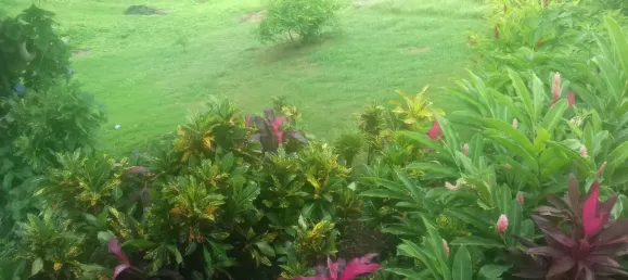 Земельный участок с 10 спальнями в Сент-Дейвид, Доминика № 54 21