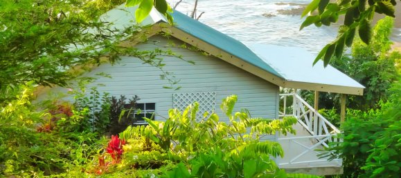 Земельный участок с 10 спальнями в Сент-Дейвид, Доминика № 54 18