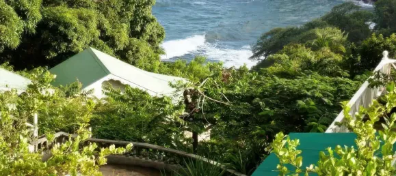 Земельный участок с 10 спальнями в Сент-Дейвид, Доминика № 54 29