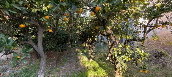 10-salle Maison à Nardò, Italy No. 28824 36