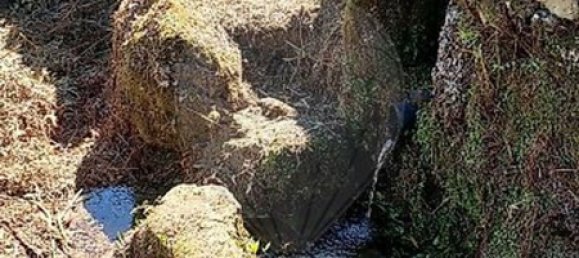 4 Schlafzimmer Haus in Amares, Portugal, Nr. 180077 42