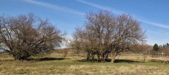  Land in Dahme-Spreewald, Germany No. 45977 2