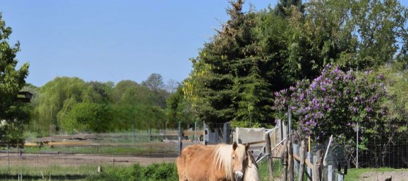  Land in Dahme-Spreewald, Germany No. 45977 3