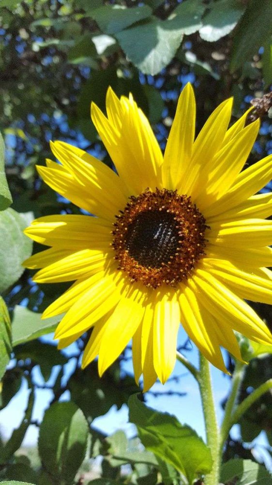  Land in Dahme-Spreewald, Germany No. 45977