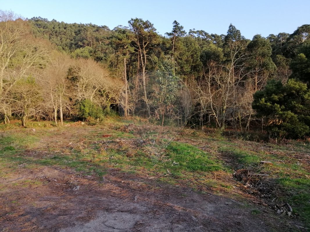 Grundstück in Viana do Castelo, Portugal, Nr. 88130