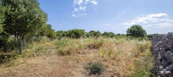 3 غرف نوم مزرعة في Mahon, Spain رقم 5033 8