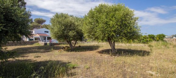 3 غرف نوم مزرعة في Mahon, Spain رقم 5033 3