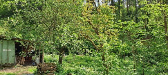 6غرفة منزل في Kopfing im Innkreis, Austria رقم 30805 6