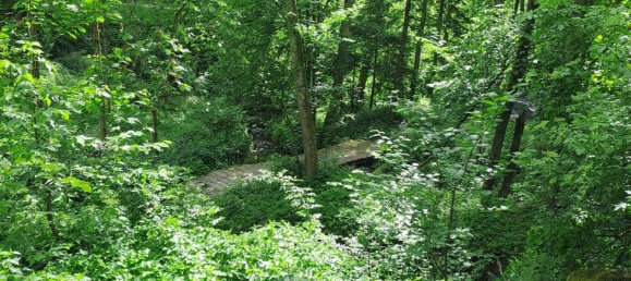 6غرفة منزل في Kopfing im Innkreis, Austria رقم 30805 8