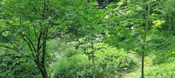 6غرفة منزل في Kopfing im Innkreis, Austria رقم 30805 5