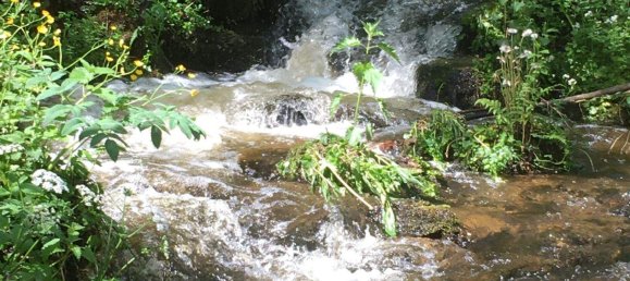 6غرفة منزل في Kopfing im Innkreis, Austria رقم 30805 10