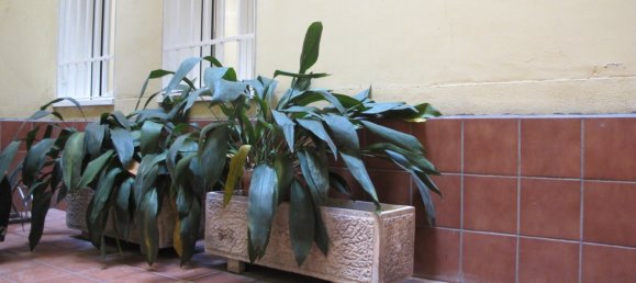 1 bedroom Apartment in Madrid, Spain No. 4199 18