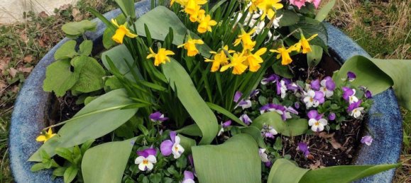 7 rooms Apartment in Eimsbuttel, Germany No. 111589 16