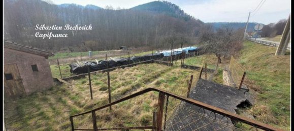 Дом с 4 спальнями в Филипбур, Франция № 71336 16