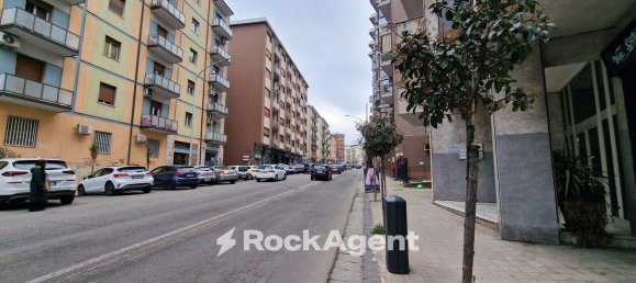Gewerbliche Immobilie in Cosenza, Italy 191m², Nr. 41561 19