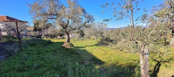 3 bedrooms House in Torre de Moncorvo, Portugal No. 167560 17