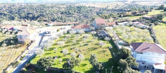 3 bedrooms House in Torre de Moncorvo, Portugal No. 167560 22