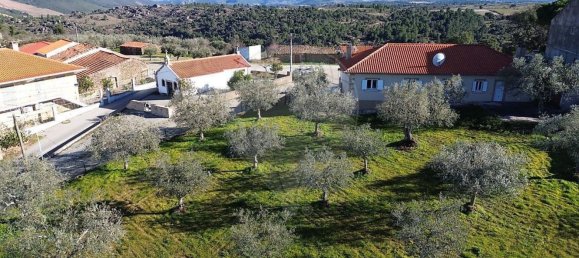 3 bedrooms House in Torre de Moncorvo, Portugal No. 167560 21