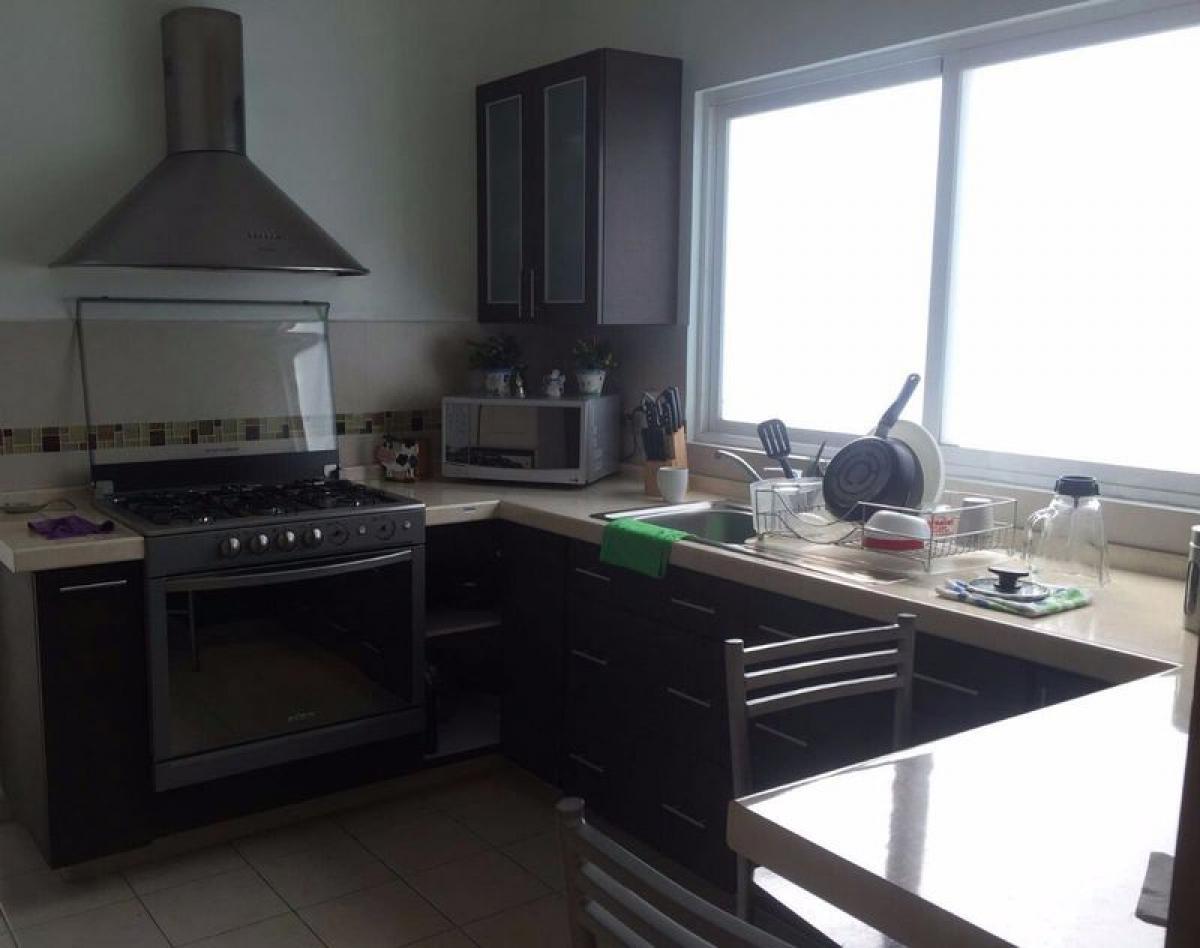 3 chambres Maison à Ciudad Lopez Mateos, Mexico No. 225586