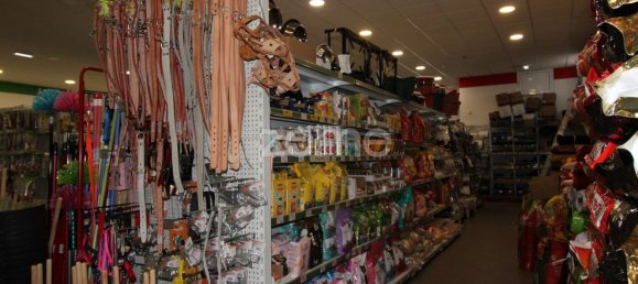 800m² Commercial property in Sao Bartolomeu de Messines, Portugal No. 65918 6