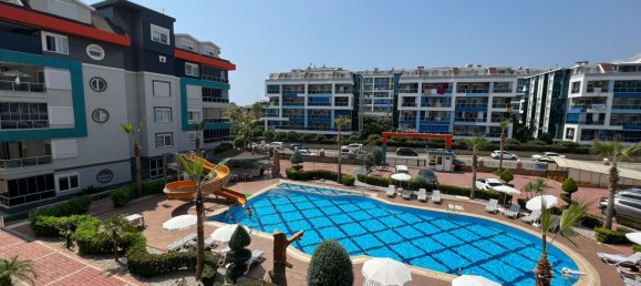 2-Zimmer Wohnung in Kestel, Turkey, Nr. 16447 7