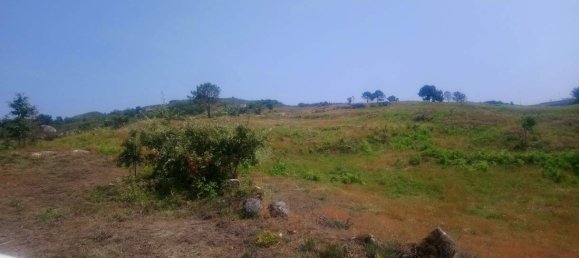  Land in Soalhaes, Portugal No. 56112 19