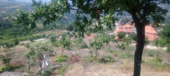  Land in Soalhaes, Portugal No. 56112 9