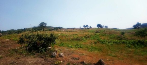  Land in Soalhaes, Portugal No. 56112 18