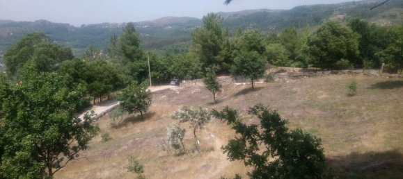  Land in Soalhaes, Portugal No. 56112 8