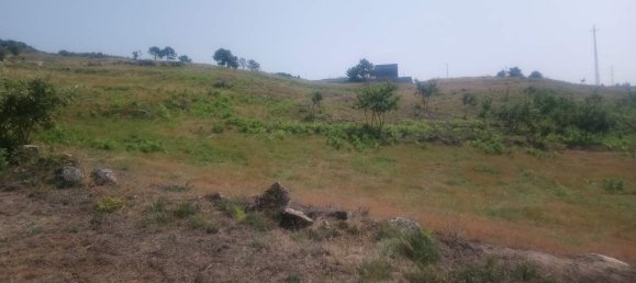  Land in Soalhaes, Portugal No. 56112 2