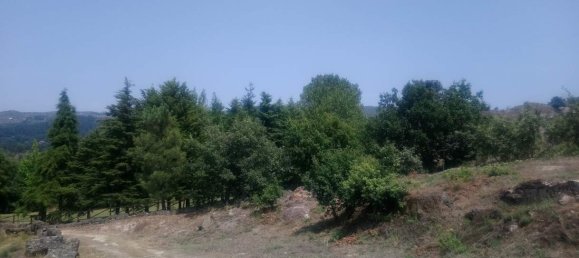 Land in Soalhaes, Portugal No. 56112 3