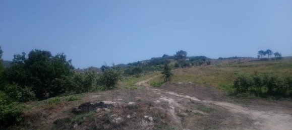  Land in Soalhaes, Portugal No. 56112 4