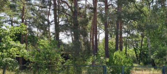  Land in Teltow-Flaming, Germany No. 232667 8