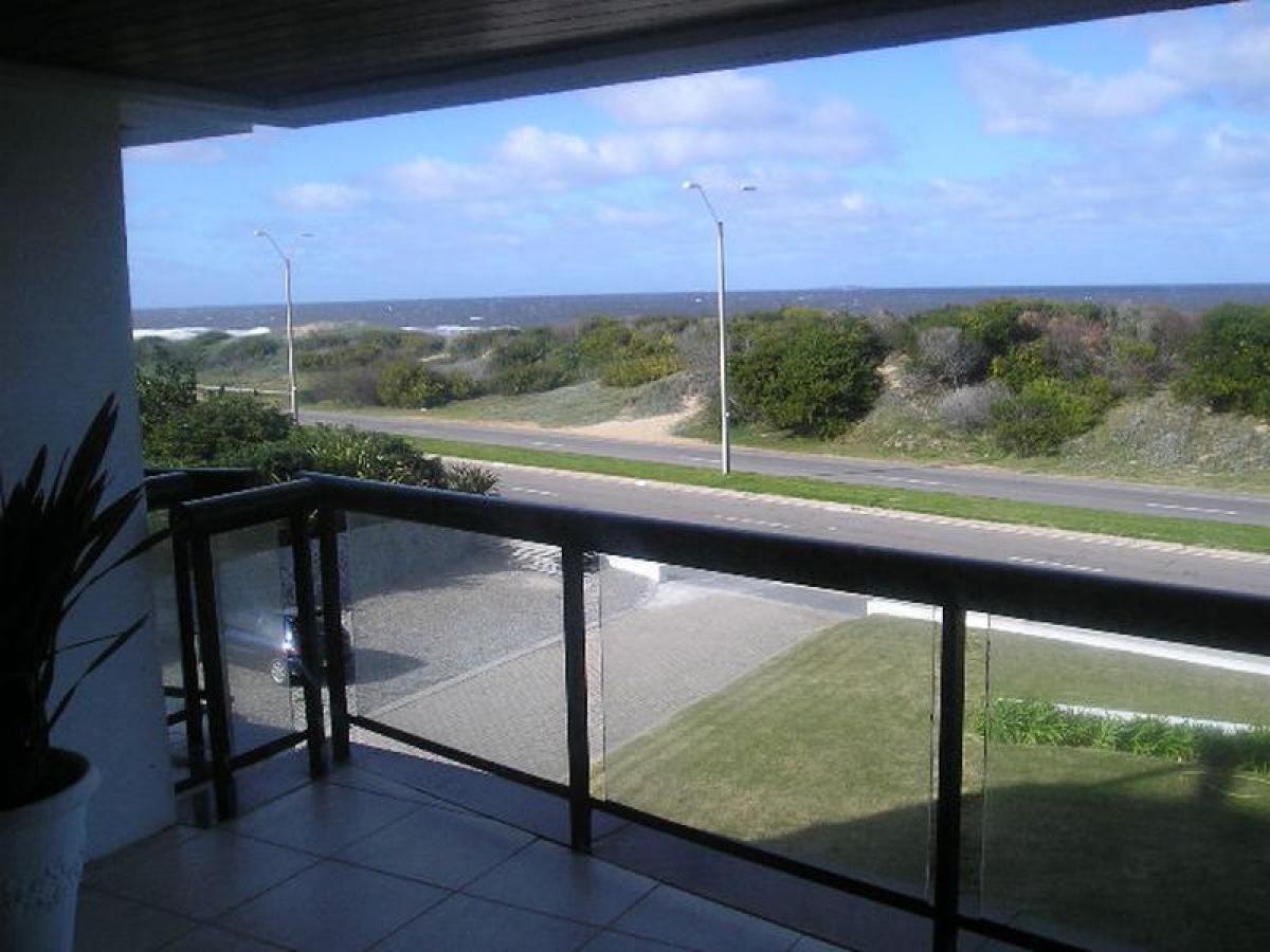 استوديو في Maldonado, Uruguay رقم 7582