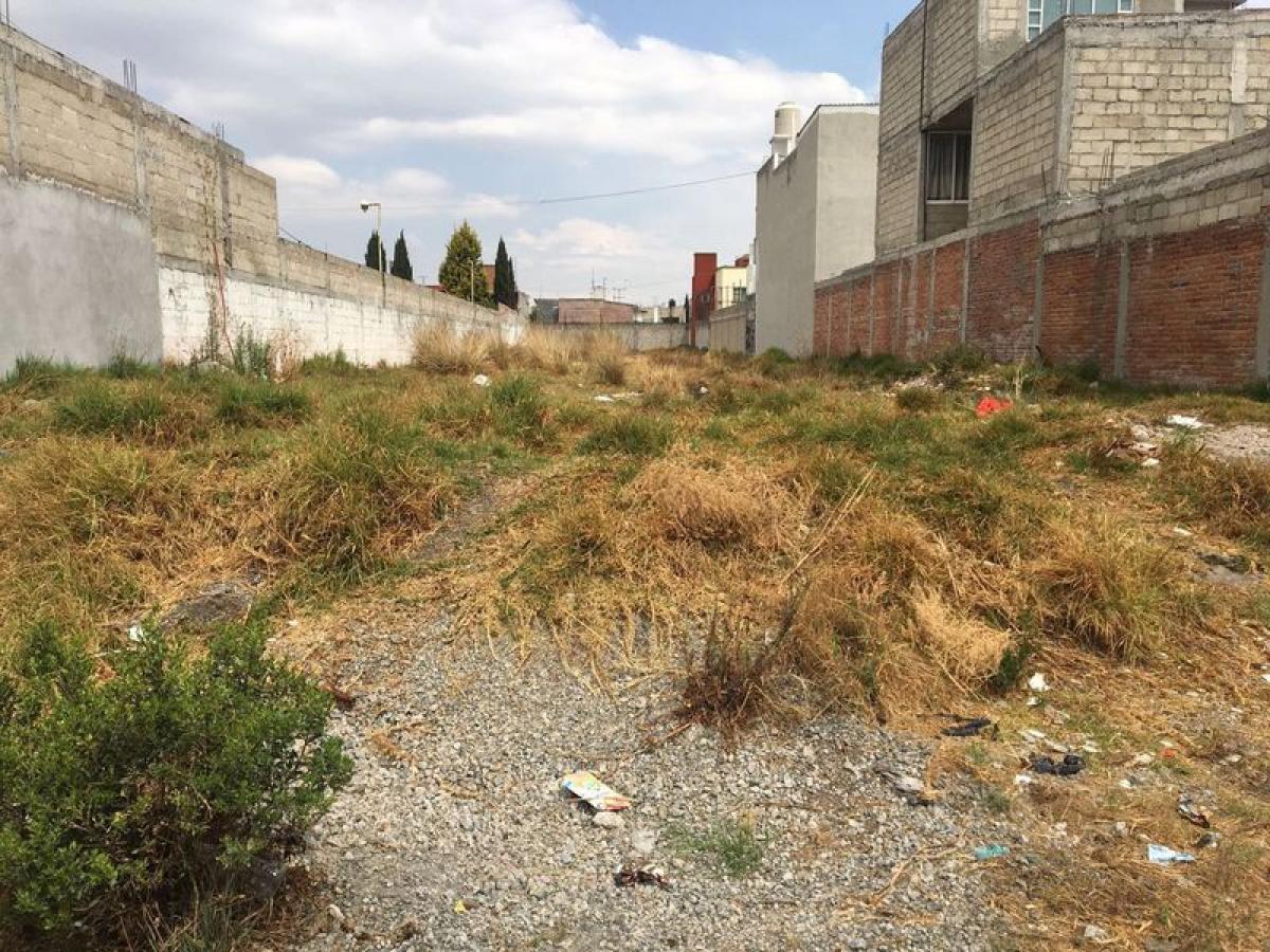 Terreno en Mexico No. 206942