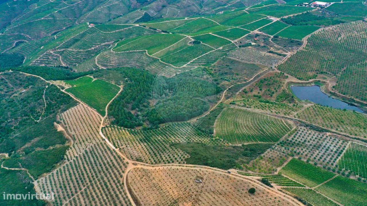 49730m² Land in Sao Joao da Pesqueira, Portugal No. 147888