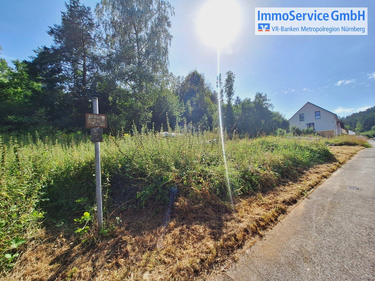  قطعة أرض في Nurnberger Land, Germany رقم 174202