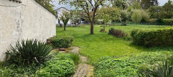 Дом с 8 комнатами в Кассель, Германия № 135944 3