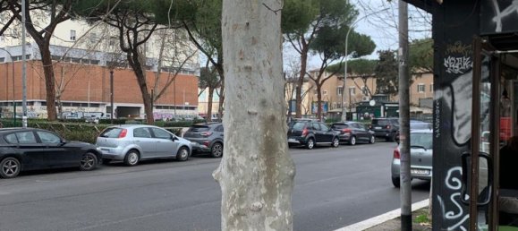 Gewerbliche Immobilie in Rome, Italy 23m², Nr. 31382 14