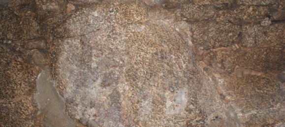 6 Schlafzimmer Schlösser in Carregal do Sal, Portugal, Nr. 343767 7