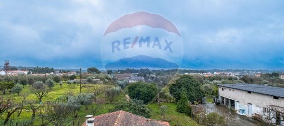 Casa de 9 dormitorios en Canas de Senhorim, Portugal No. 177347 18