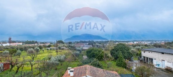 Casa de 9 dormitorios en Canas de Senhorim, Portugal No. 177347 41