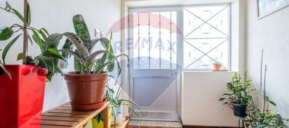 Casa de 9 dormitorios en Canas de Senhorim, Portugal No. 177347 13