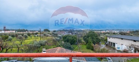 Casa de 9 dormitorios en Canas de Senhorim, Portugal No. 177347 14