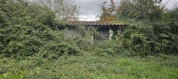 Земельный участок 2307м² в Ле Пассаж, Франция № 314236 6