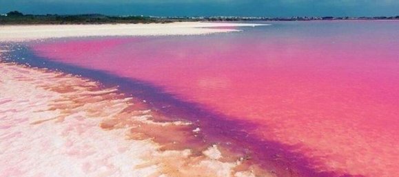 2 bedrooms Penthouse in Torrevieja, Spain No. 145878 20